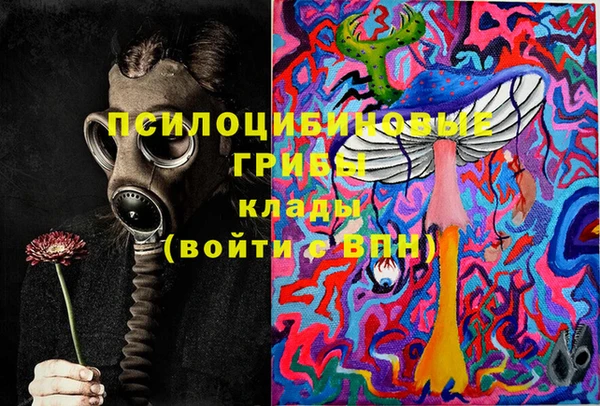 гидра Аркадак